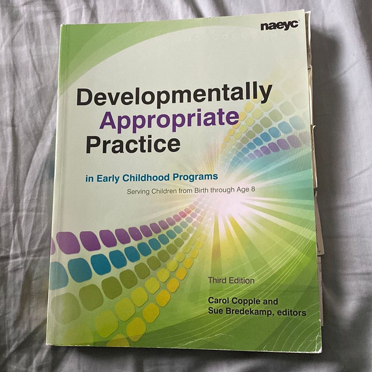 Developmentally Appropriate Practice in Early Childhood Programs ...