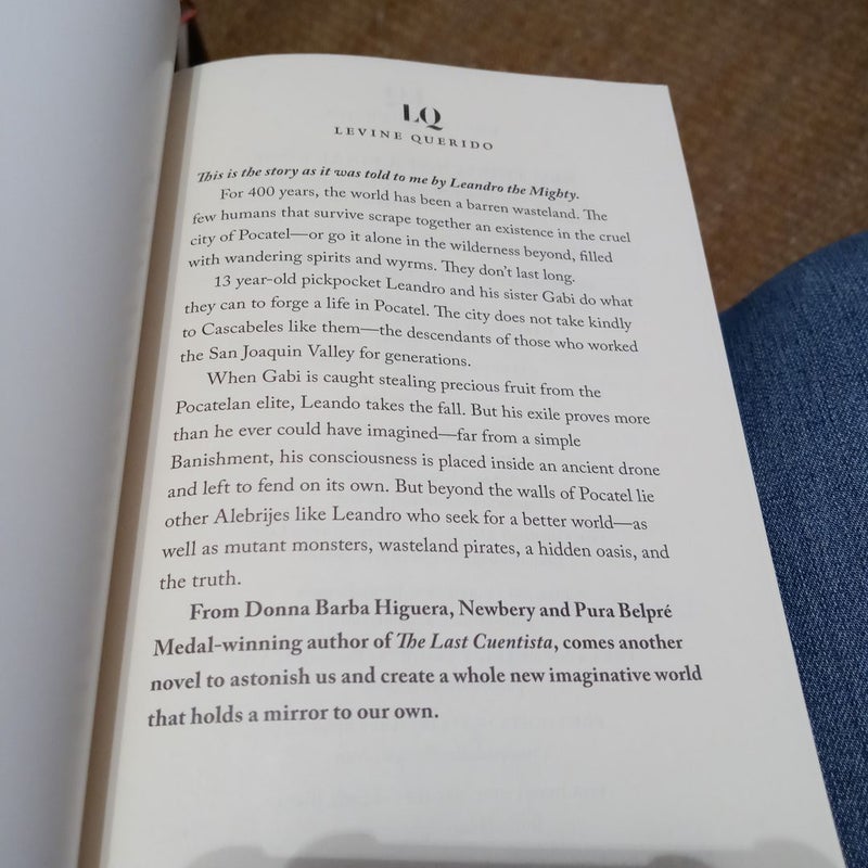 alebrijes-by-donna-barba-higuera