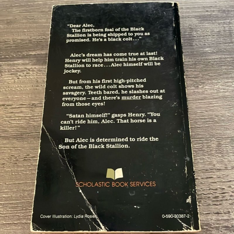 Son of the Black Stallion