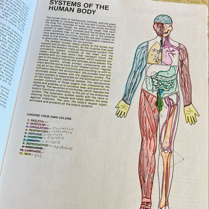 Human Anatomy