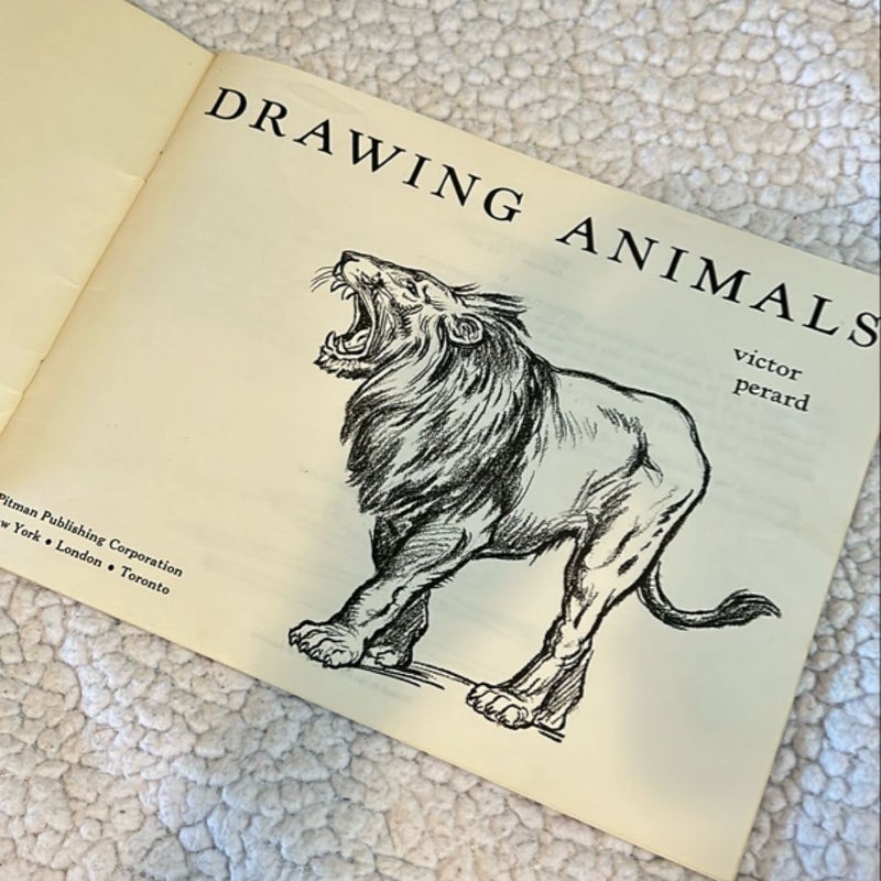 Drawing Animals