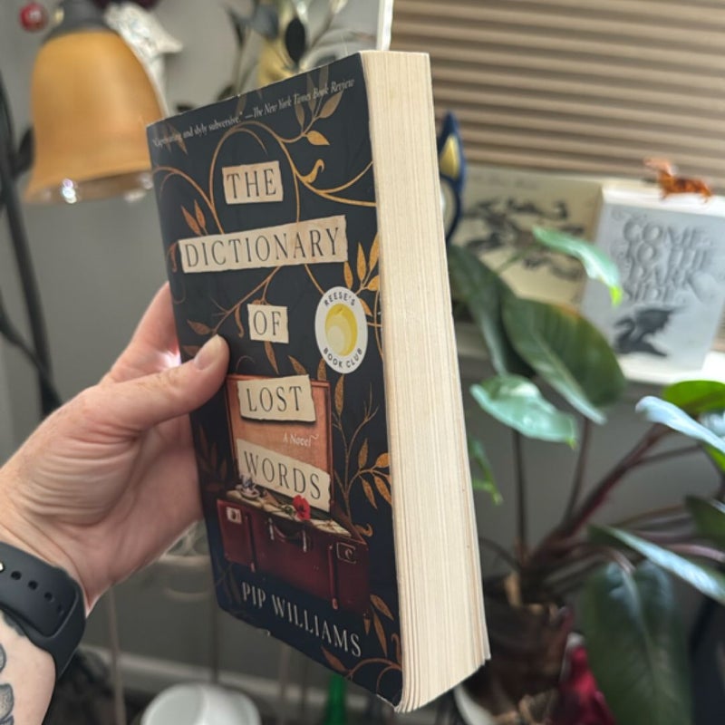 The Dictionary of Lost Words