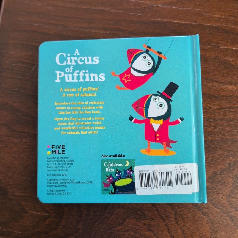 A Circus of Puffins