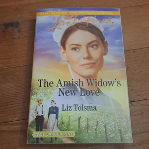 The Amish Widow's New Love