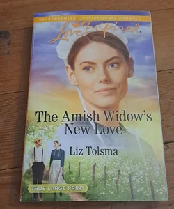 The Amish Widow's New Love