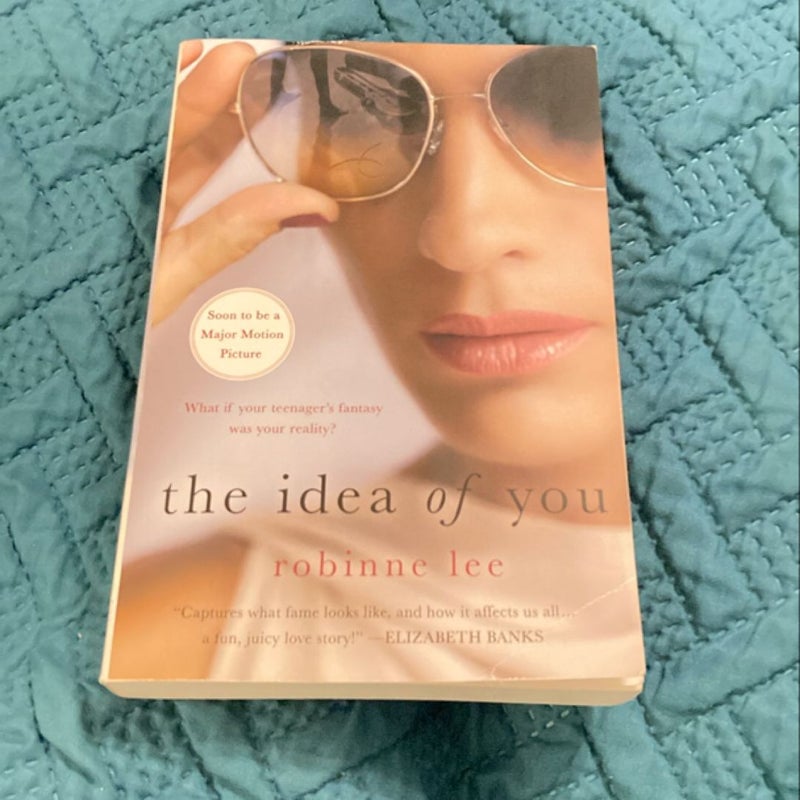 The Idea of You