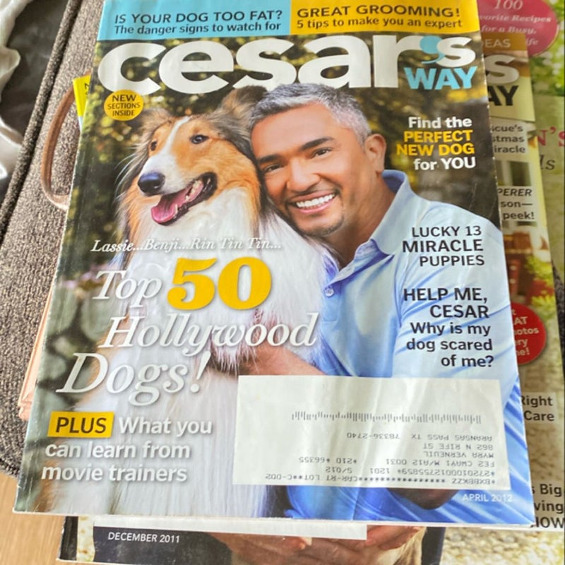 Cesar Millan Magazine Bundle