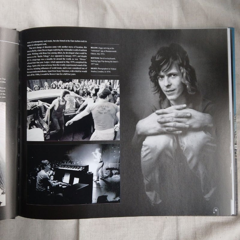 Bowie Treasures