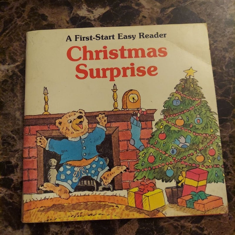Christmas Surprise