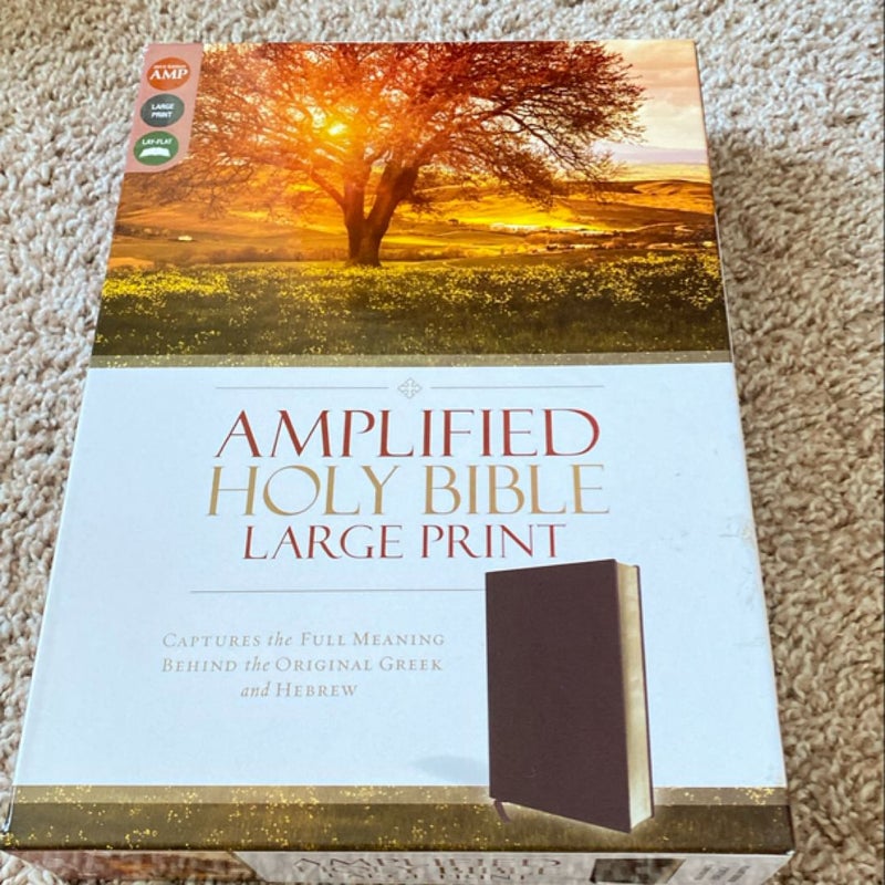 Amplified Holy Bible, Large Print