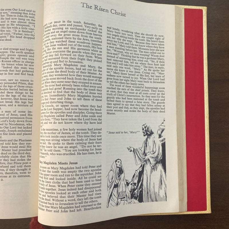 Holy Bible Catholic De Luxe Edition With The Confraternity Text (1966)