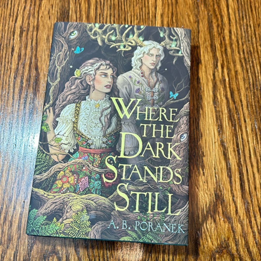 Where the Dark Stands Still