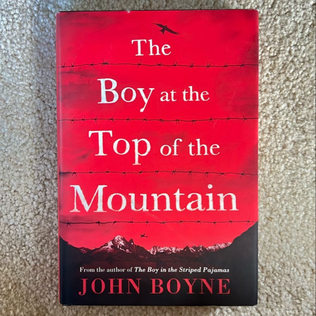 The Boy at the Top of the Mountain