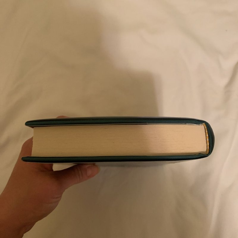 Never after: the Thirteenth Fairy