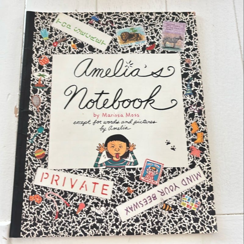 Amelia's Notebook