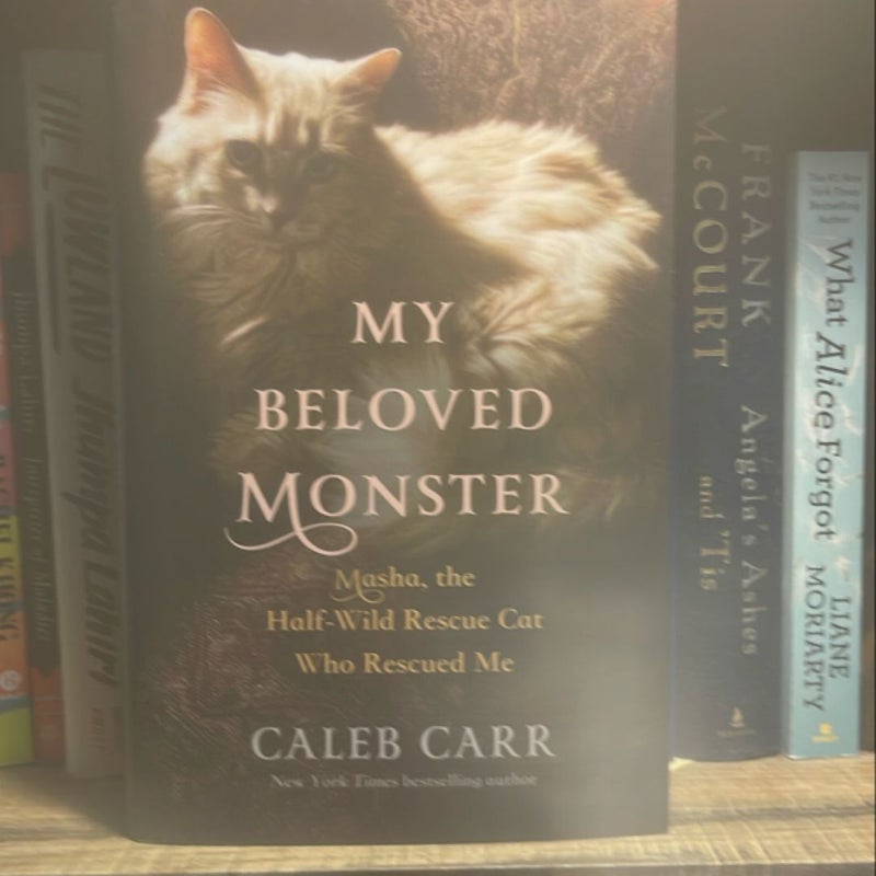 My Beloved Monster