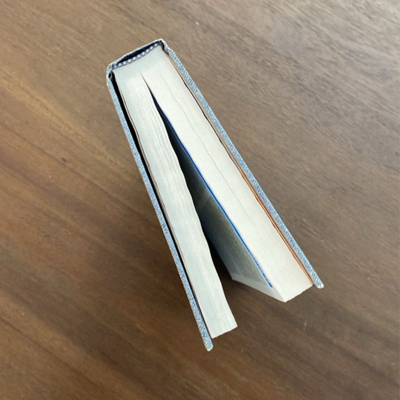 The Illustrated Holy Bible Living Values Edition