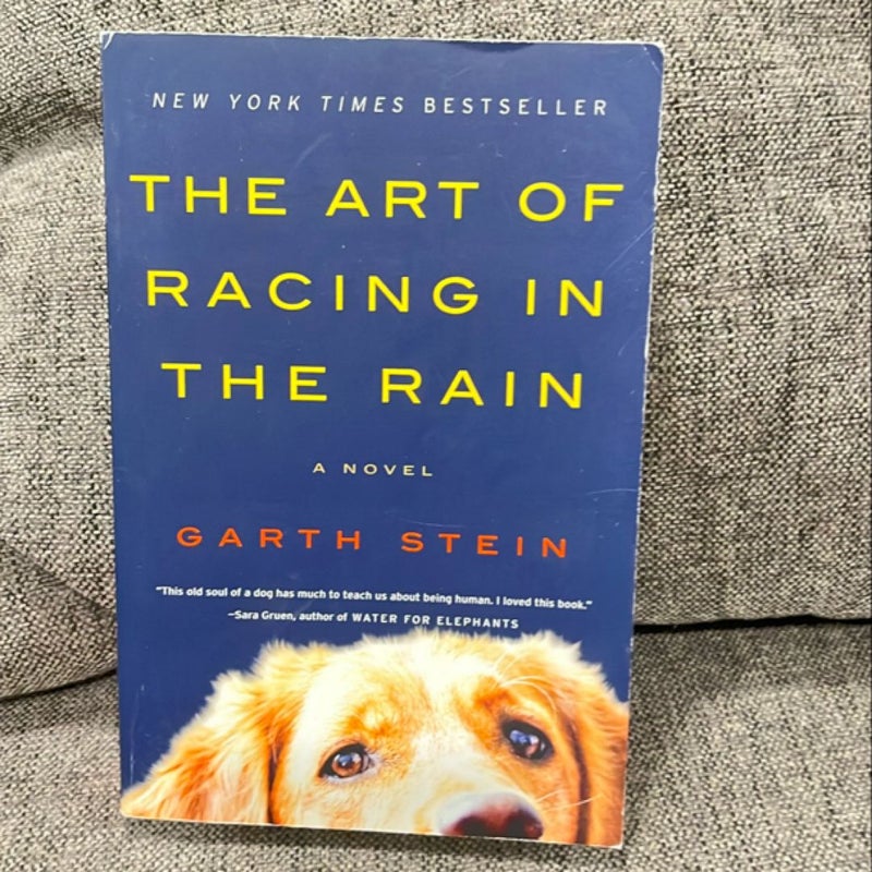 The Art of Racing in the Rain