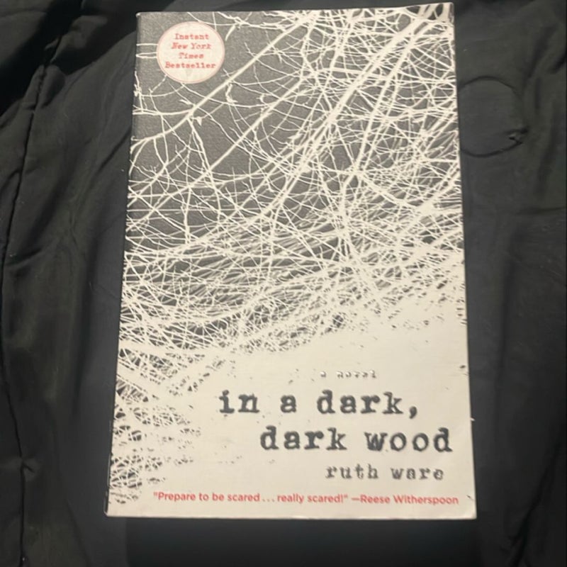 In a Dark, Dark Wood
