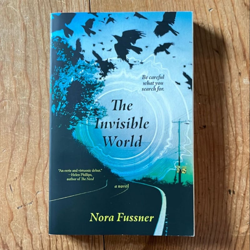 The Invisible World