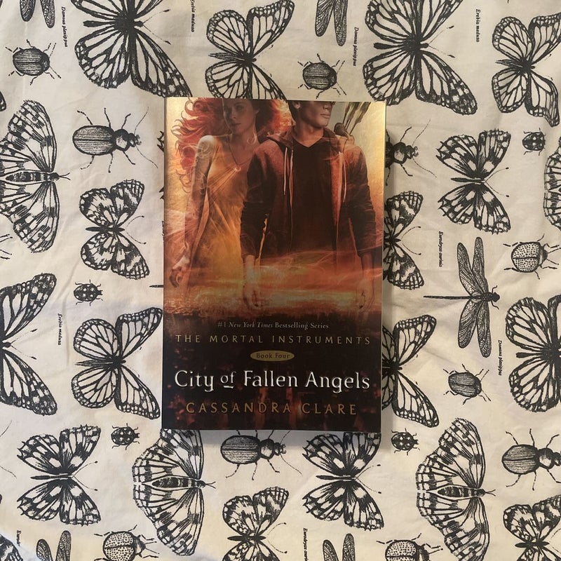 City of Fallen Angels