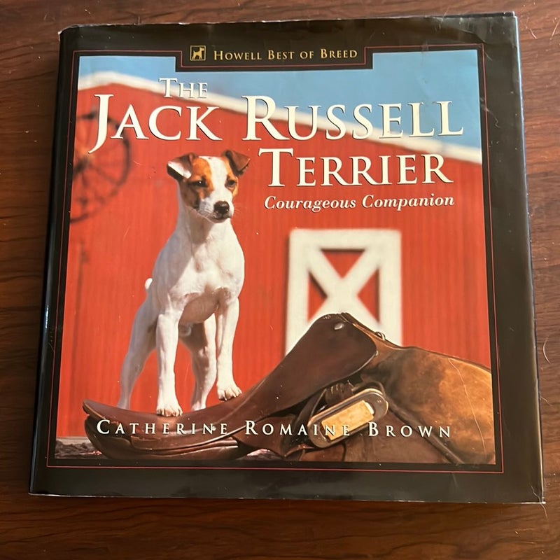 The Jack Russell Terrier