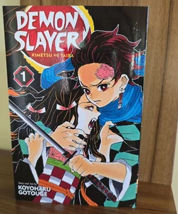 Demon Slayer: Kimetsu No Yaiba, Vol. 1