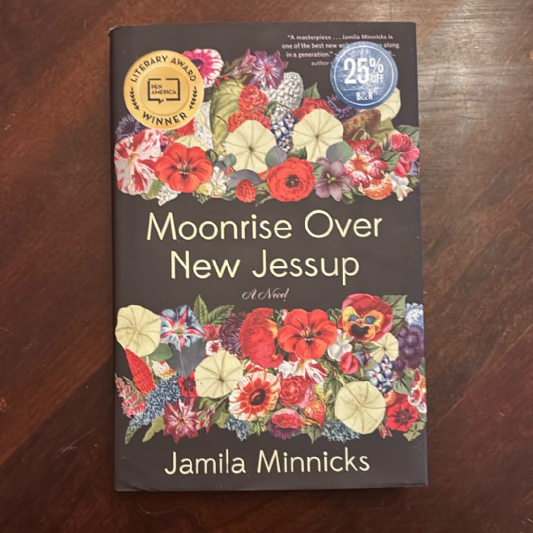 Moonrise over New Jessup