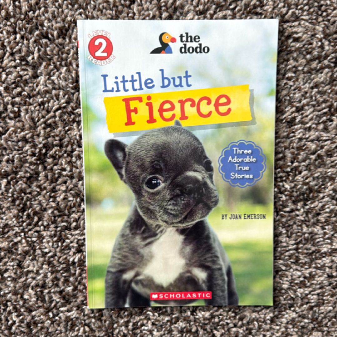 Little but Fierce (the Dodo: Scholastic Reader, Level 2)