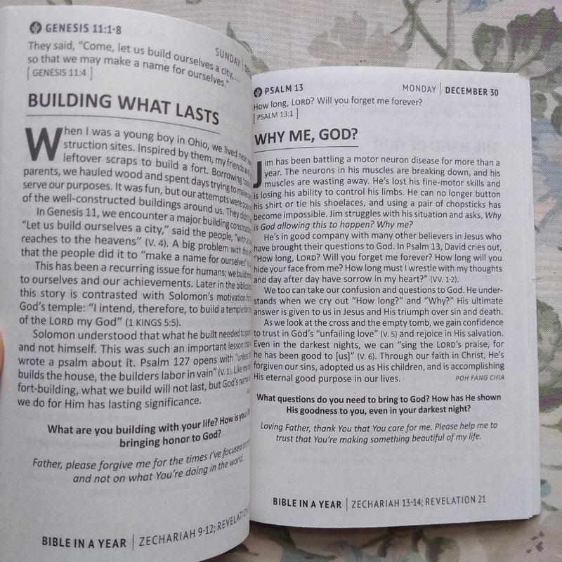Our Daily Bread