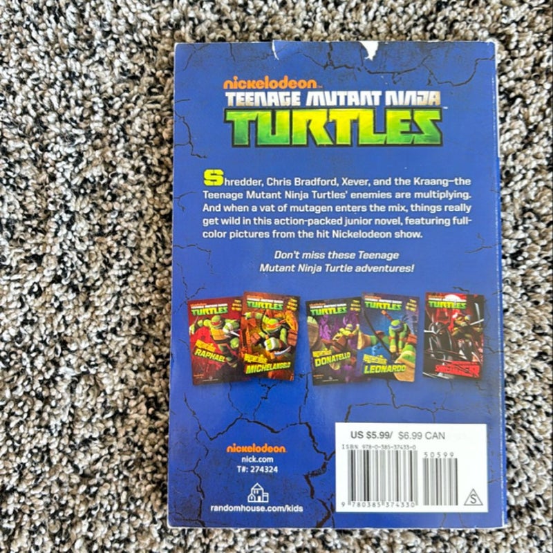 Mutant Mayhem! (Teenage Mutant Ninja Turtles)