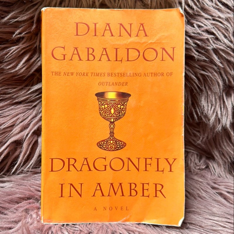 Dragonfly in Amber