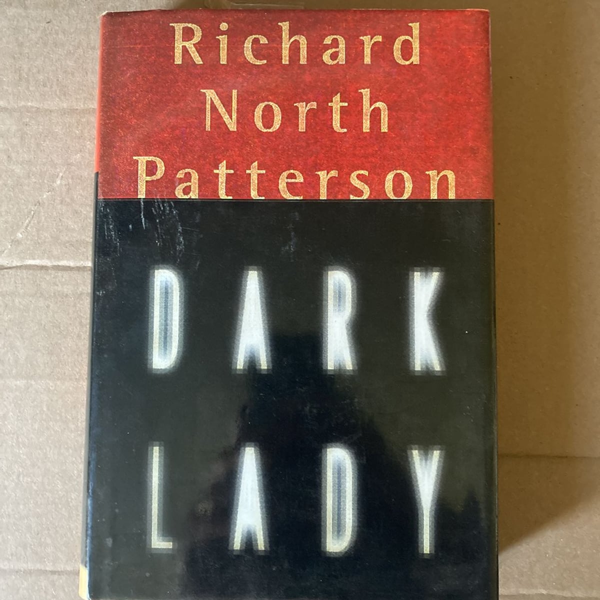 Dark Lady by Richard North Patterson