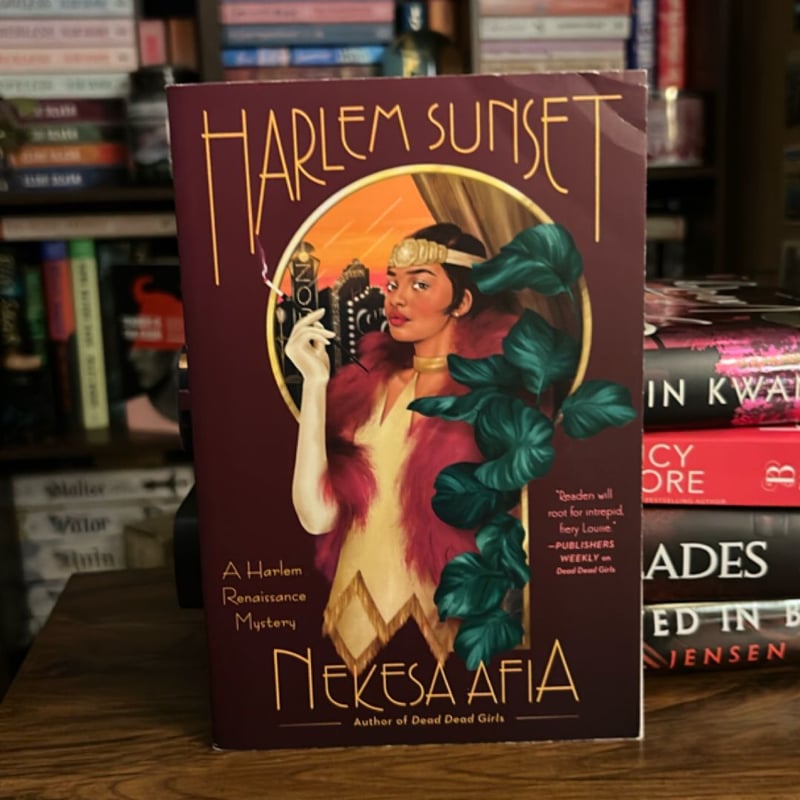 Harlem Sunset by Nekesa Afia, Paperback | Pangobooks