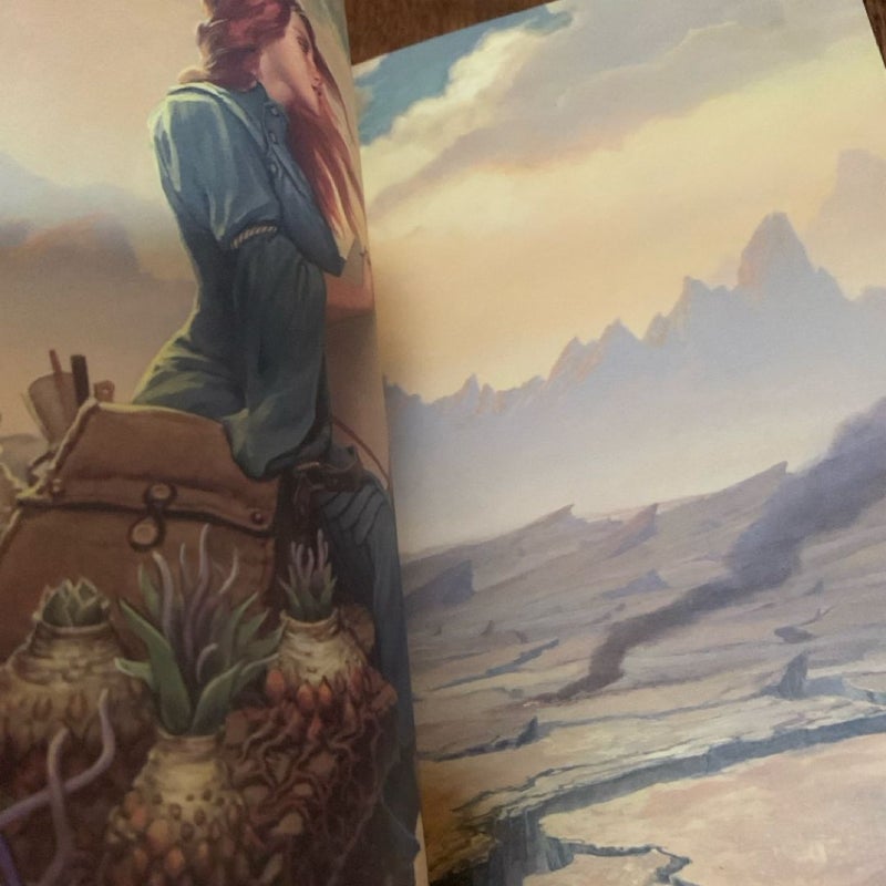 Oathbringer, Words Of Radiance, TRADE PAPERBACK, Stormlight Archive #2-3, Epic Fantasy