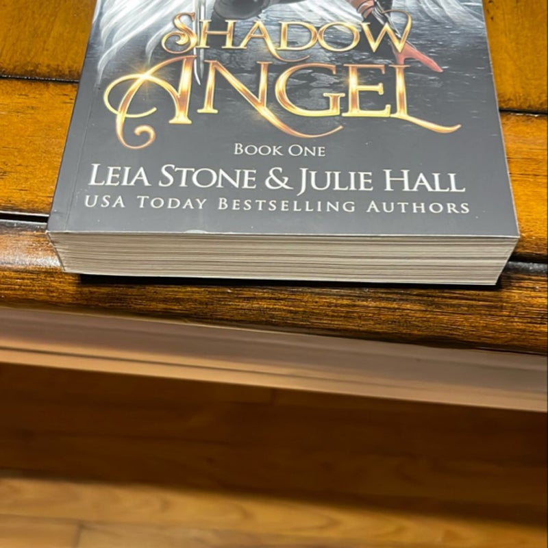 Shadow Angel: Book One