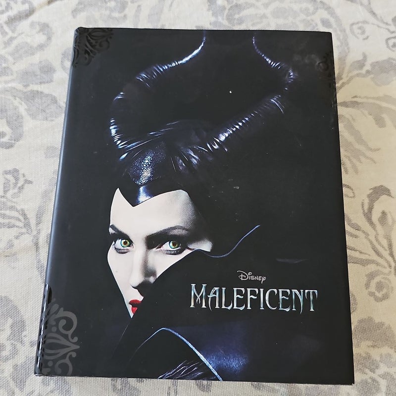 Maleficent by Elizabeth Rudnick, Hardcover