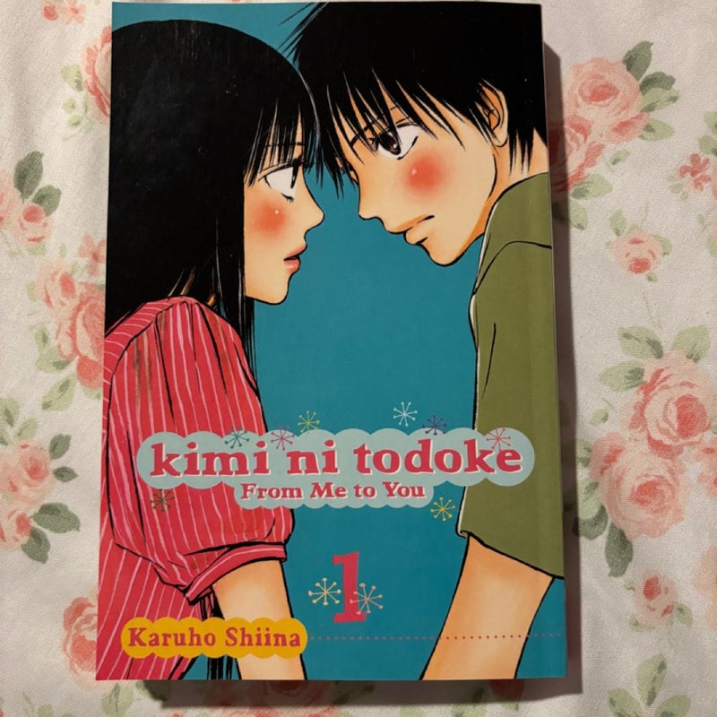 Kimi ni Todoke: from Me to You, Vol. 1