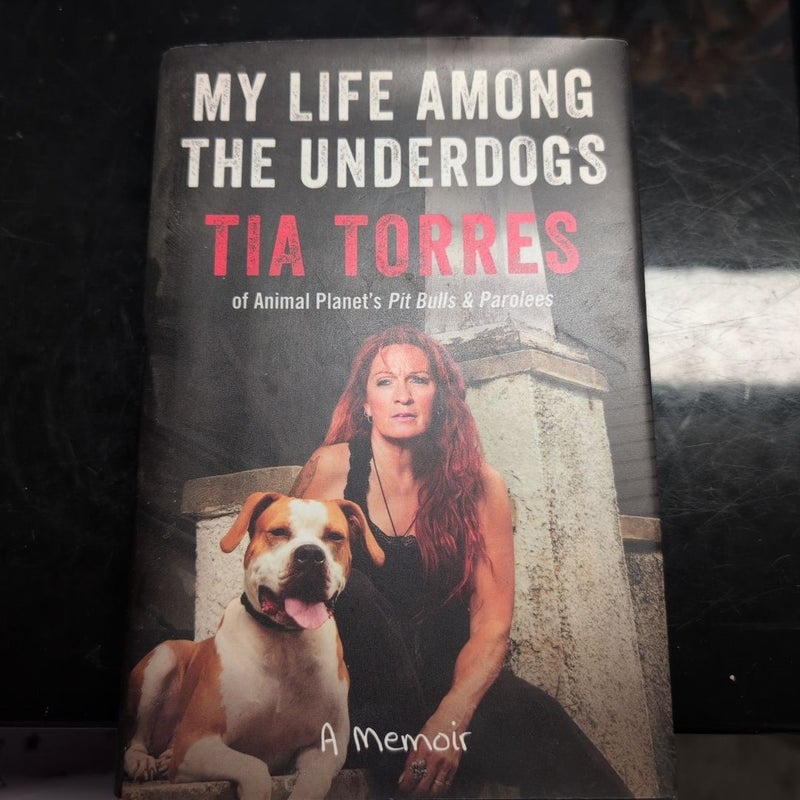 My Life among the Underdogs
