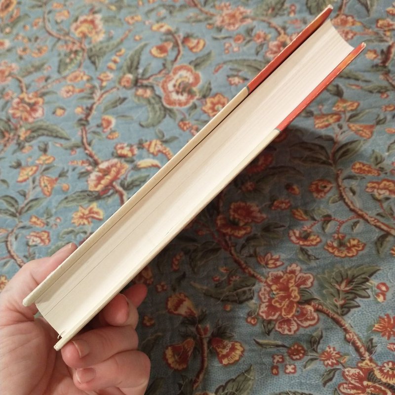 The Last Report on the Miracles at Little No Horse