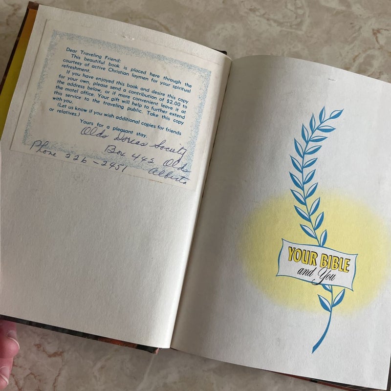 Your Bible and You