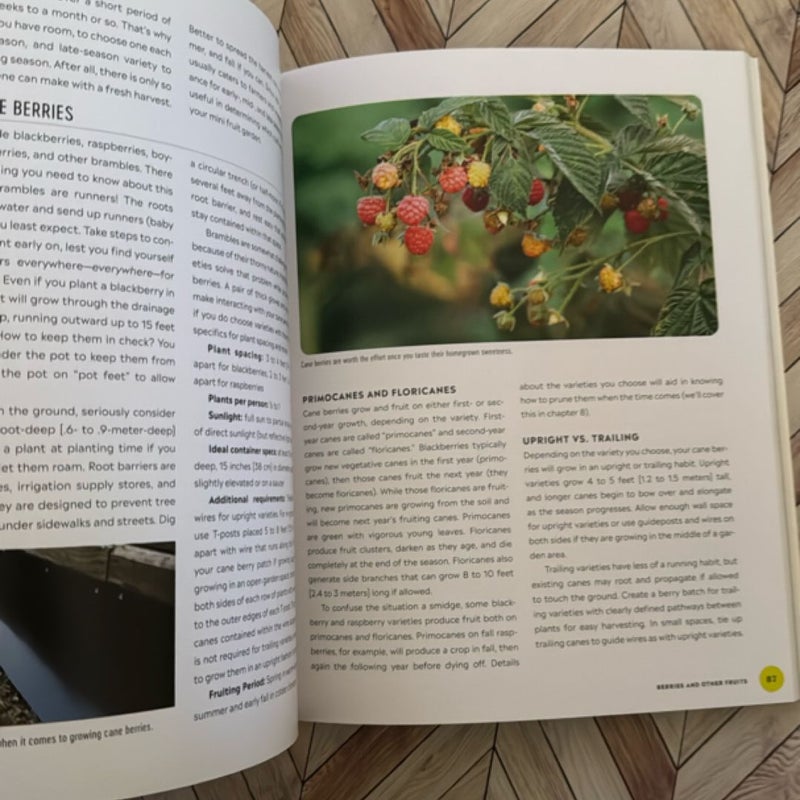 Grow Your Own Mini Fruit Garden