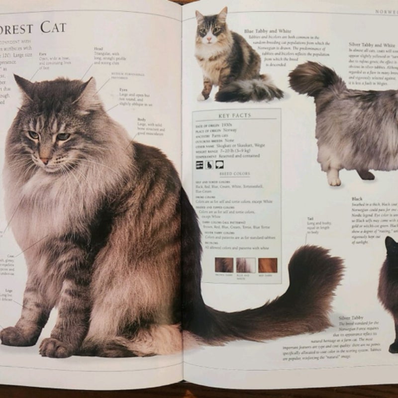 The Encyclopedia of the Cat