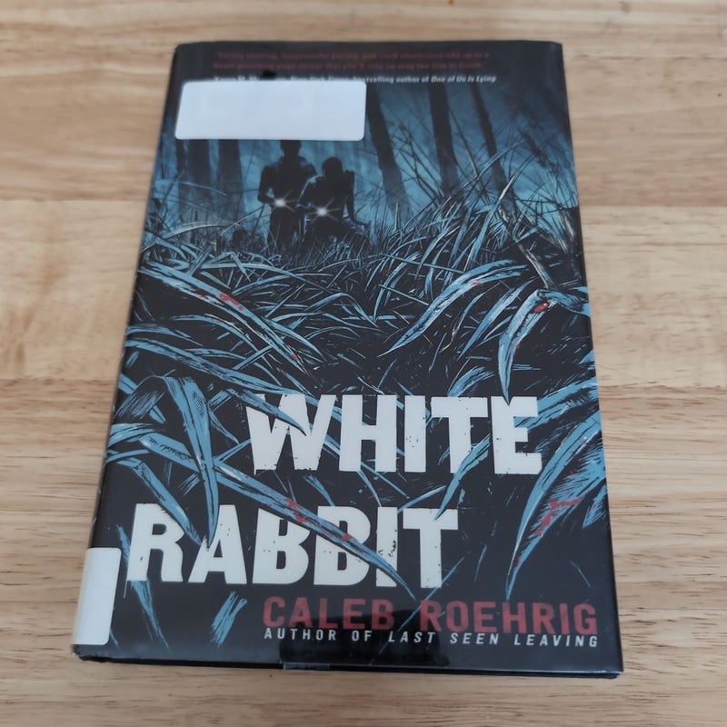 White Rabbit