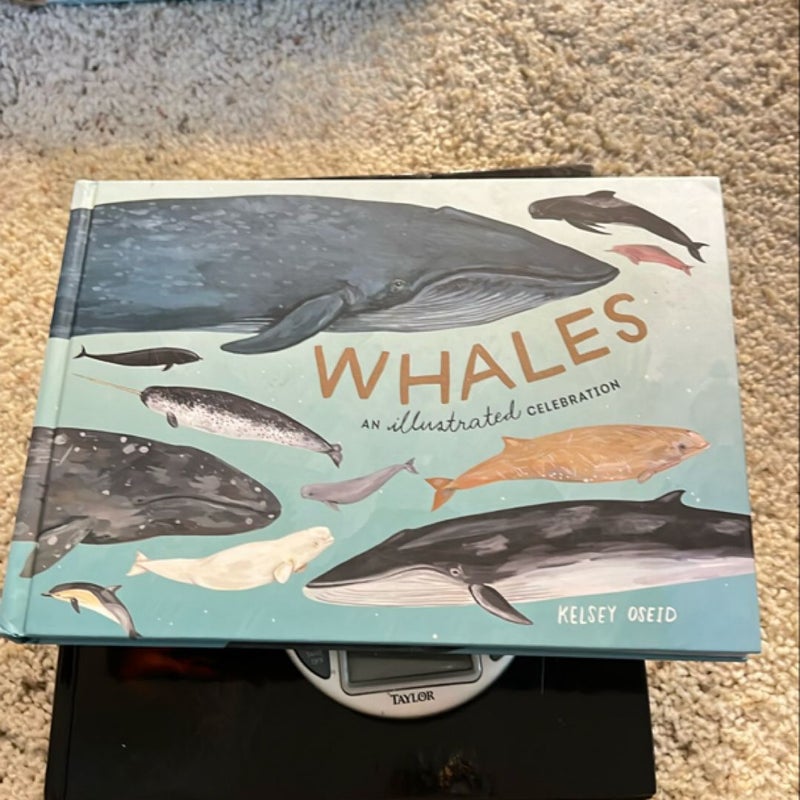 Whales