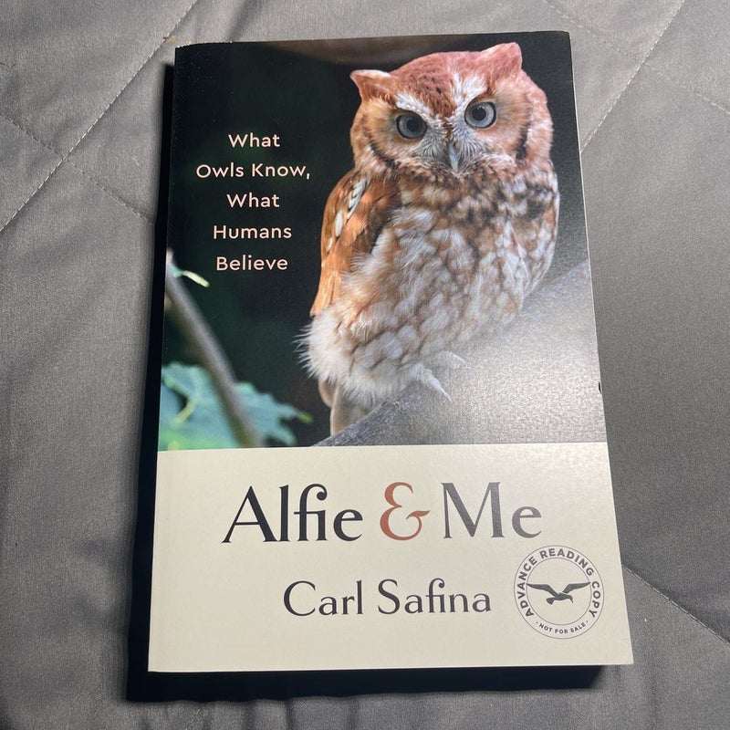 Alfie and Me ARC
