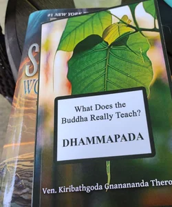 What Does the Buddha Really Teach? (DHAMMAPADA)