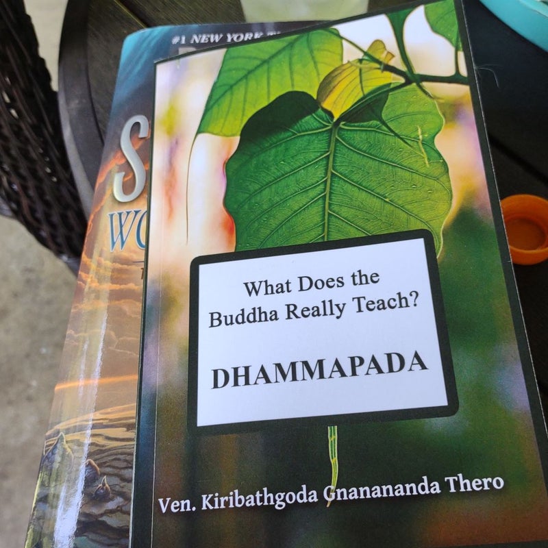 What Does the Buddha Really Teach? (DHAMMAPADA)