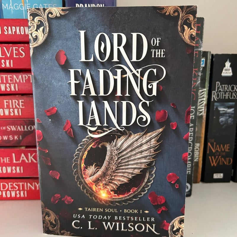 Lord of the Fading Lands