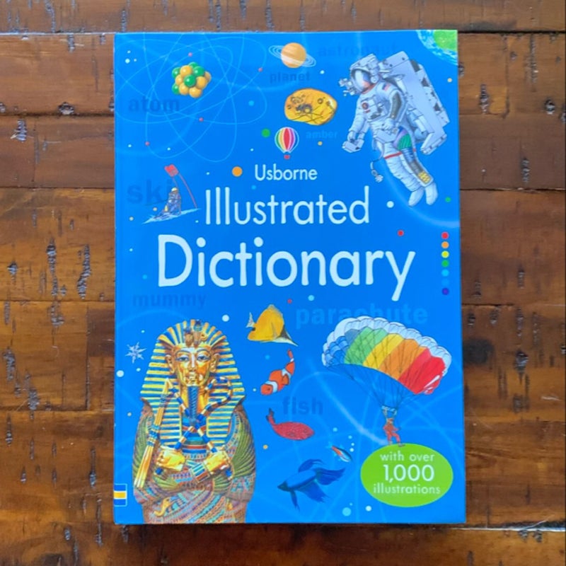 Usborne Illustrated Dictionary